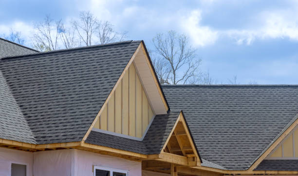 Best Rubber Roofing (EPDM, TPO)  in Oneonta, NY